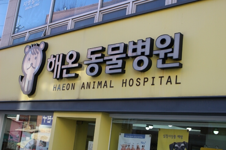 해온동물병원