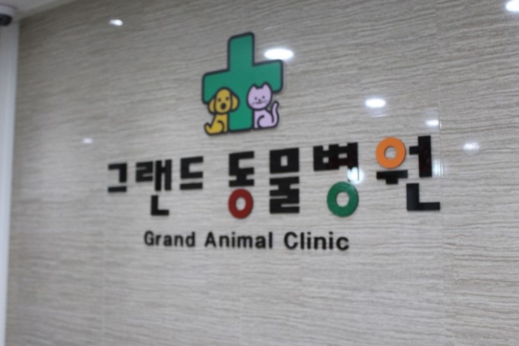 그랜드동물병원