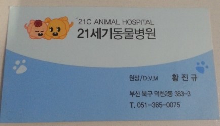 21세기동물병원