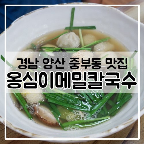 옹심이메밀칼국수