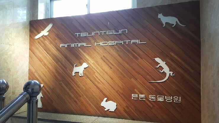 튼튼동물병원